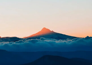 福诚月嫂直播间探秘