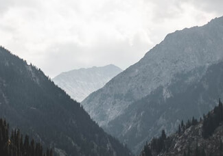 月嫂、亲妈、婆婆，如何和谐共处？